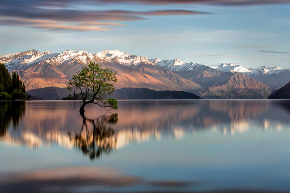 Wanaka Is The Most Popular Ski Town on New Zealand's South Island | Wanaka tree New Zealand