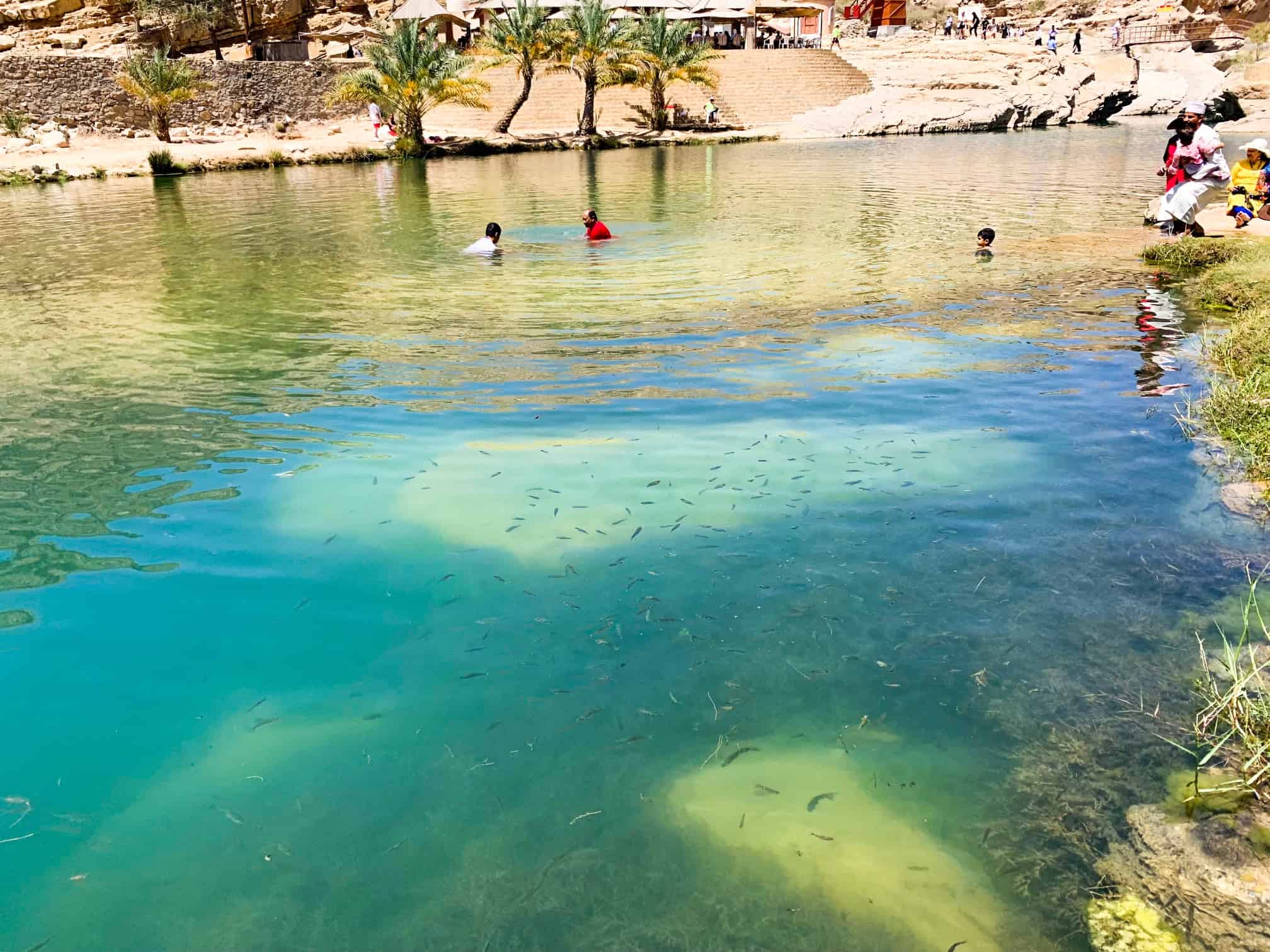 The free fish spa at Wadi Bani Khalid