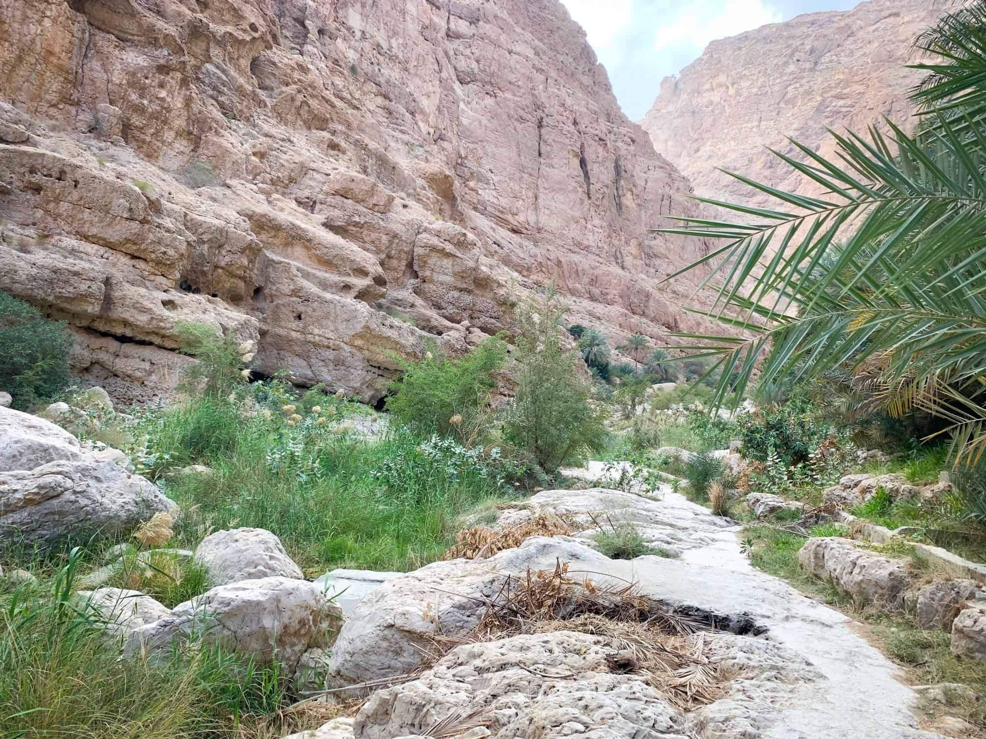 Shaded hike in Wadi shab