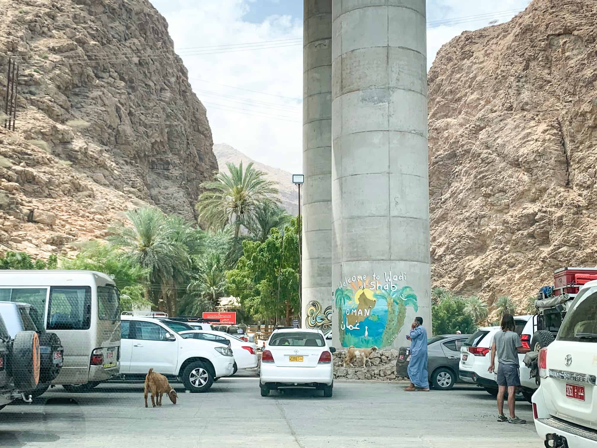 There are goats at the Wadi Shab parking lot