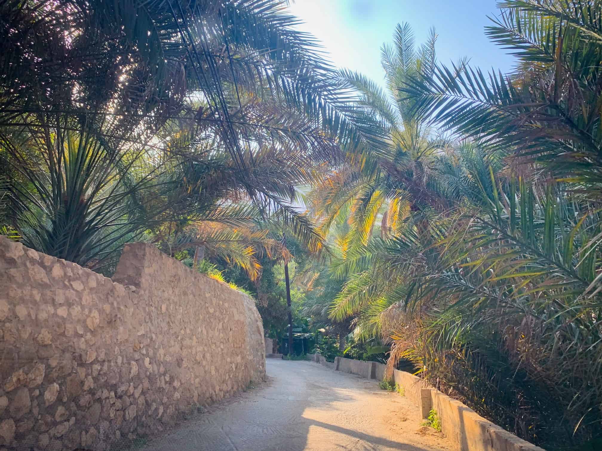 Narrow village roads in Wadi Tiwi