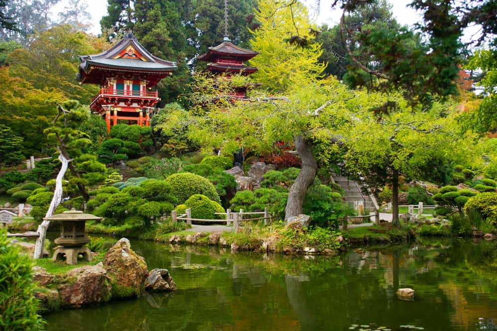 Japanese garden at golden gate park
