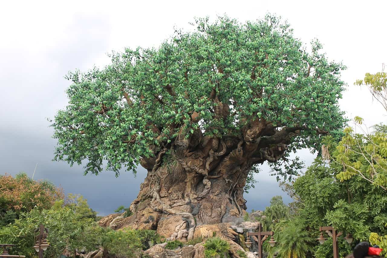 Afternoon storm at Animal Kingdom at Disney World