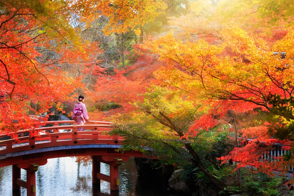 You should consider planning a trip to Japan in the fall
