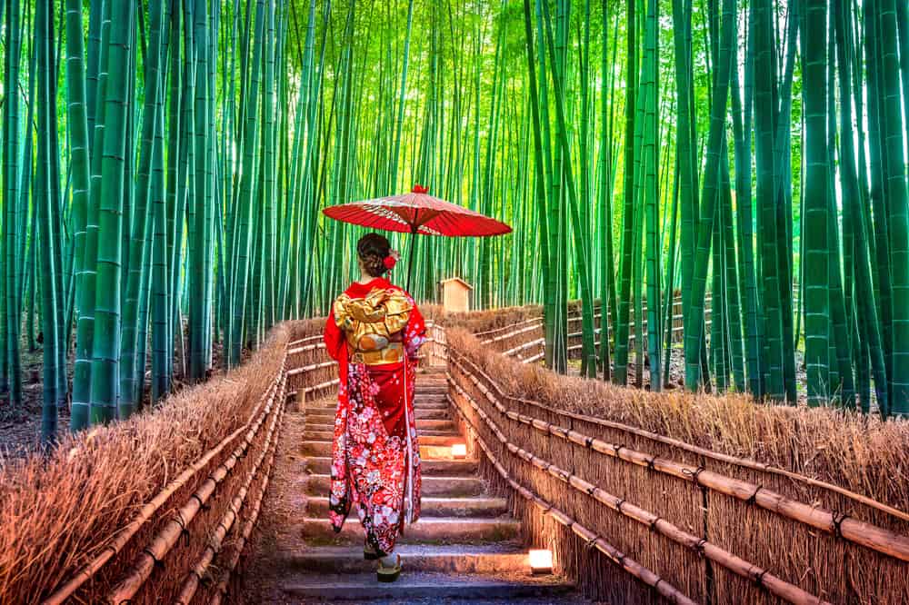 woman walking through Bamboo forest in Japan