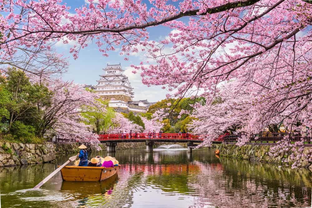 don't limit yourself to cherry blossom season when planning a trip to Japan