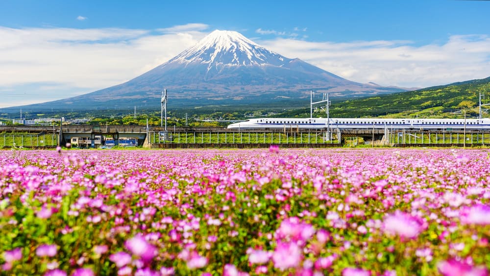 make sure to get a rail pass when planning a trip to Japan
