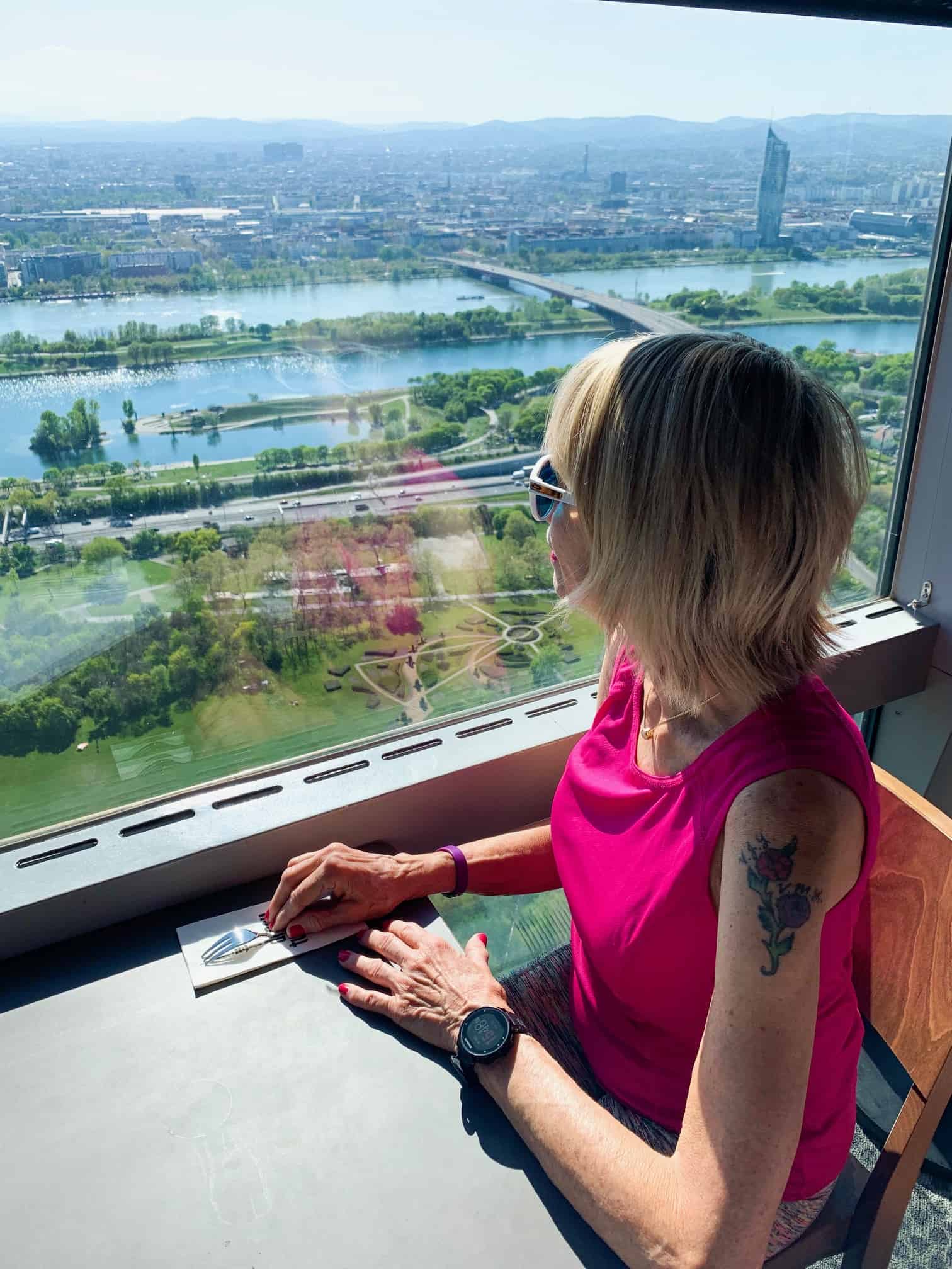 Overlooking Vienna on a shore excursion with Crystal