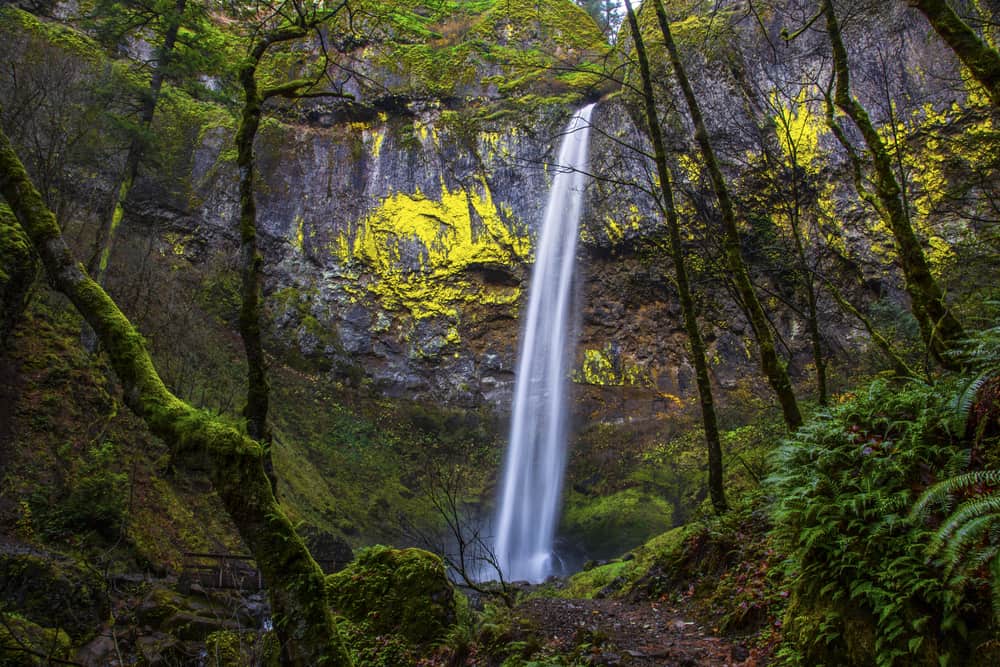 Elowah Falls drops over 200 feet into an amphitheater, don't miss this gorgeous fall when visiting waterfalls in Oregon 