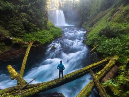 Man standing at the base of a rushing river with Koosah Falls in the background