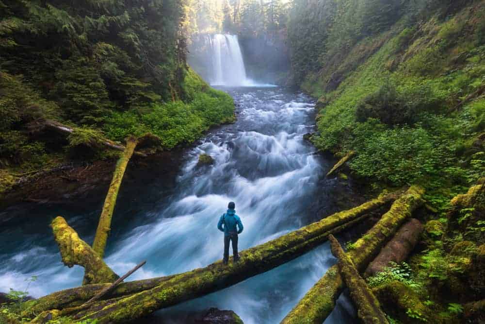 waterfalls in Oregon are tourist draws Koosah Falls is a bit more secluded