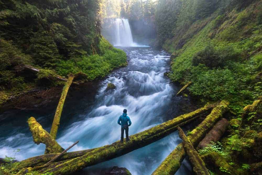 Man standing at the base of a rushing river with Koosah Falls in the background