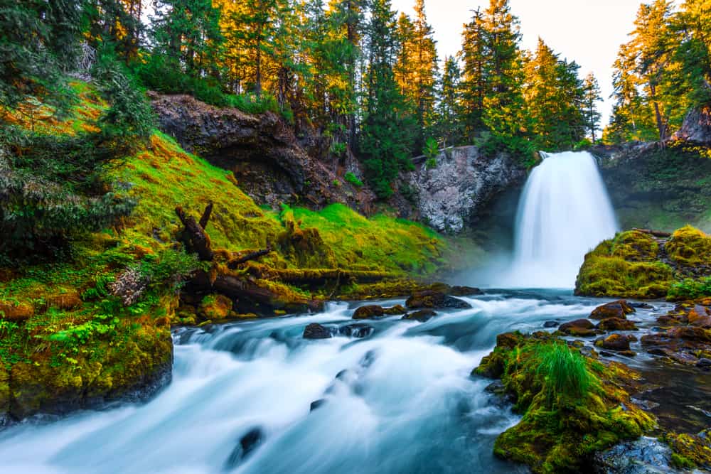 for one of the waterfalls in Oregon that is wheelchair accessible stop by Sahalie Falls