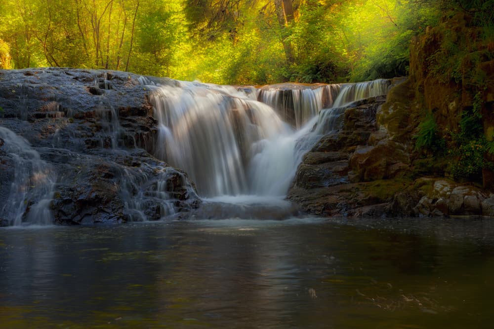 for a family-friendly hike to waterfalls in Oregon visit Sweet Creek Falls