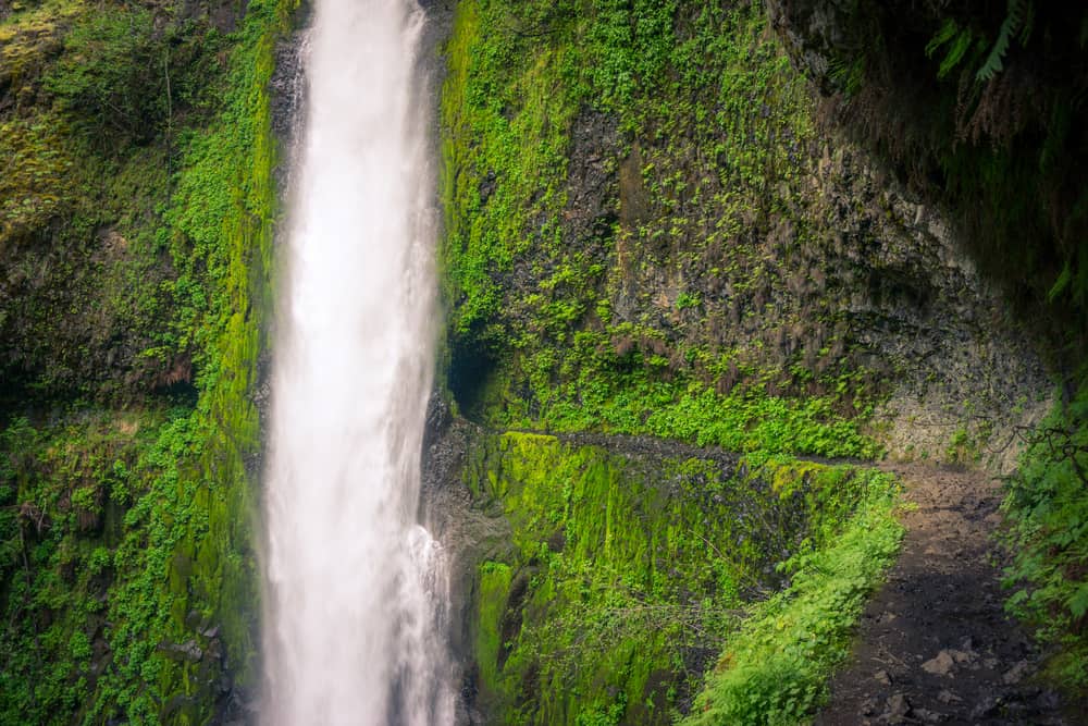 Visit Tunnel Falls for the unique experience on walking a tunnel behind one of the waterfalls in Oregon