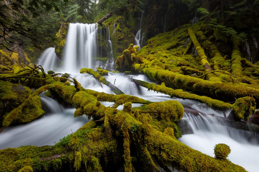 visit waterfalls in Oregon and the lush forests full of moss at the same time