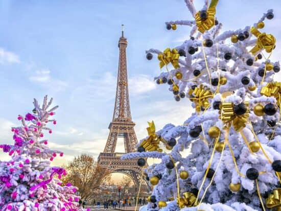 The eiffel tower all dressed for christmas in paris
