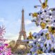 The eiffel tower all dressed for christmas in paris