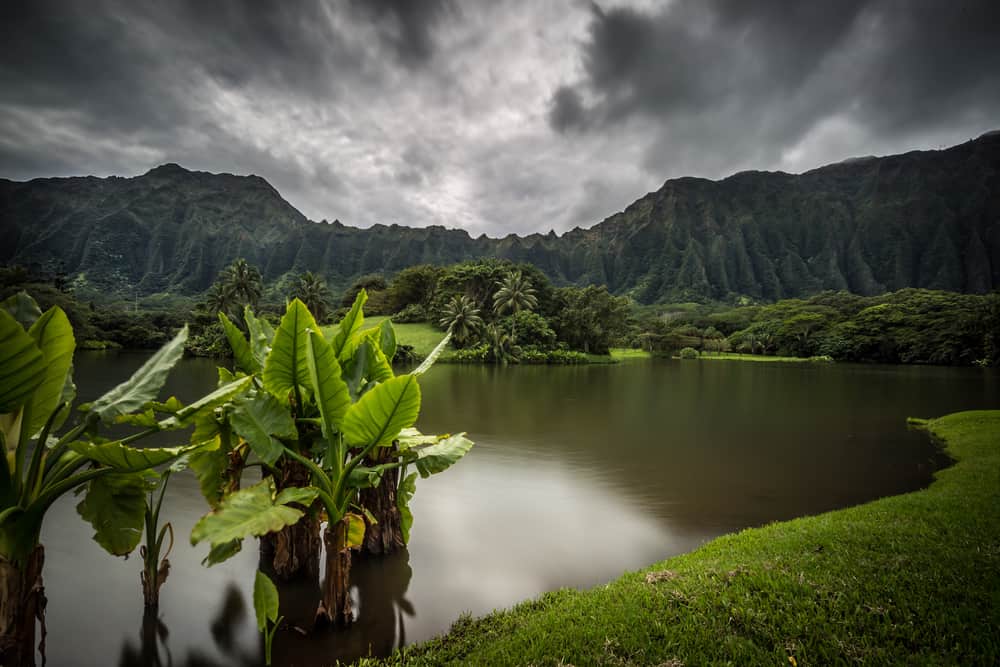 Add a poncho to your Hawaii packing list: it isn't always sunny there! It can be rainy and gloomy like in this photo!