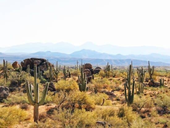 Granite Mountain view of cacti and boulders on one of the best hikes in Phoenix