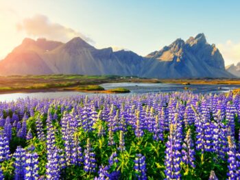 the East Coast is where to stay in Iceland to see Vestrahorn