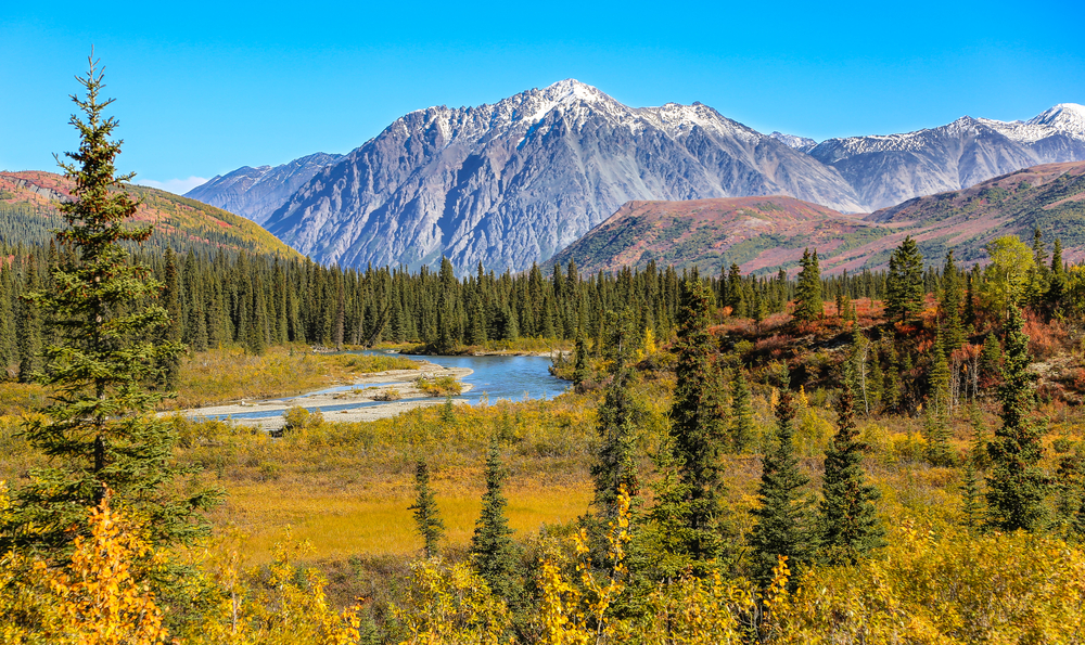 Fall day at Denali National Park with evergreen trees, lakes, and mountains.