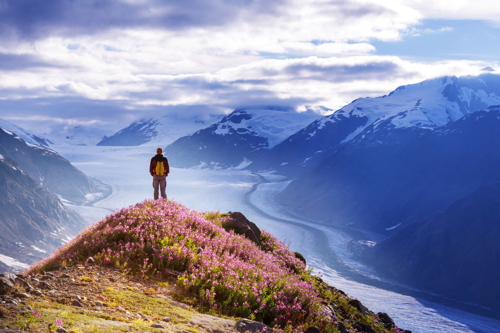 Person standing on a cliff of wildflowers overlooking mountains and rivers.