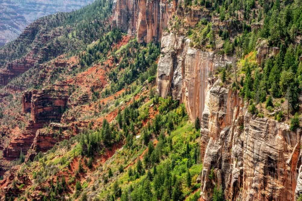 the North Kaibab Trail is one of the best Grand Canyon hikes for viewing waterfalls