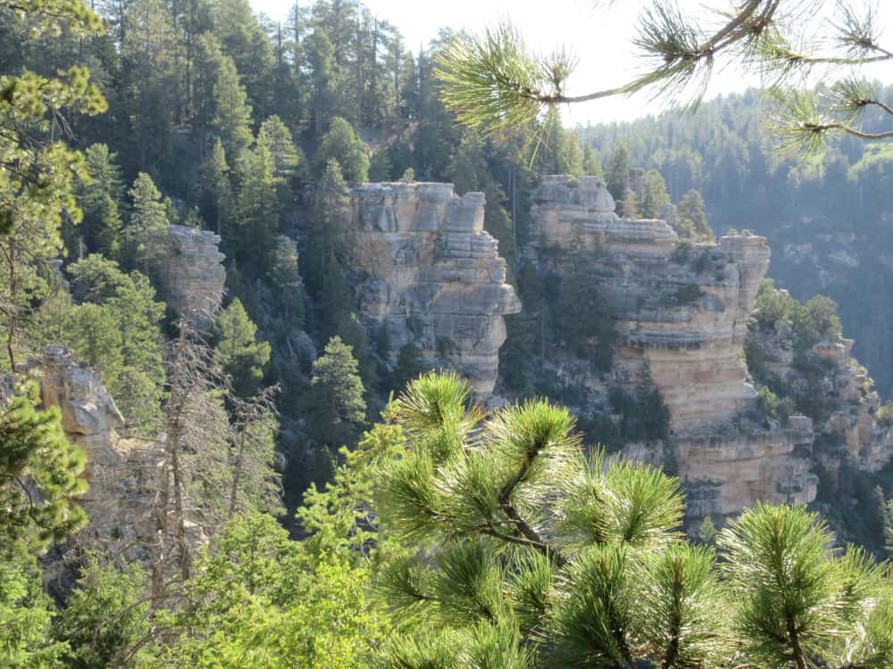 the Widforss Trail is one of the more educational Grand Canyon hikes