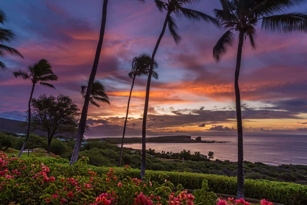 Photo of sunset in Lanai