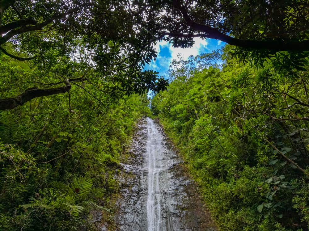Photo of Manoa Falls