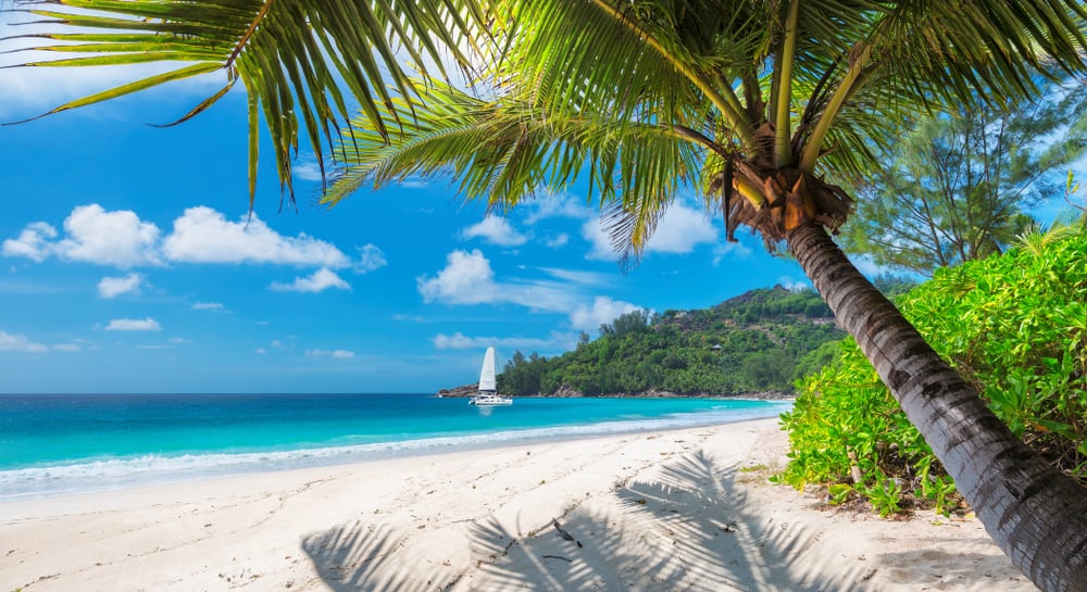 Photo of a Beach You Could Visit During Your Jamaica Honeymoon