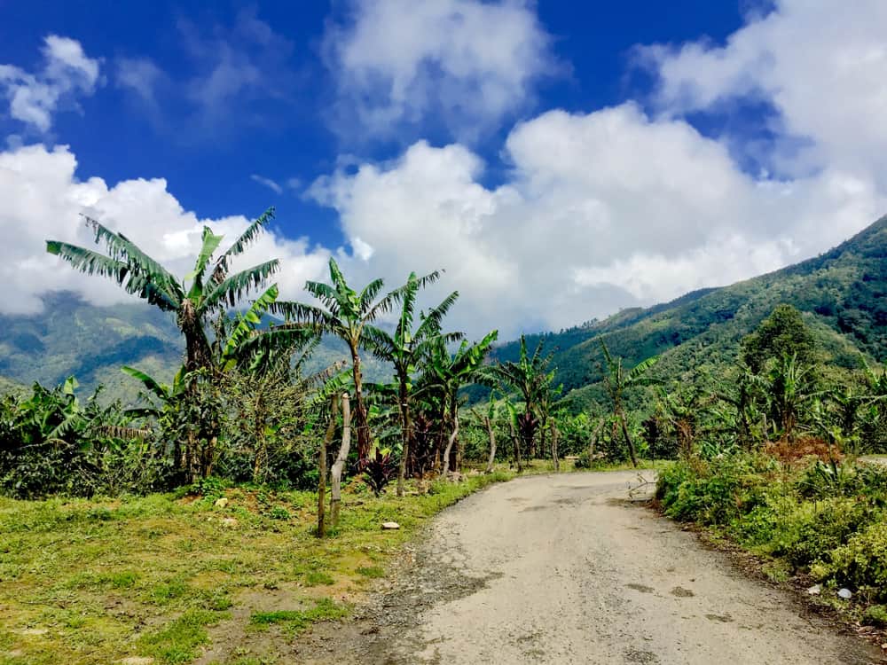 Photo of Blue Mountains National Park in Jamaica