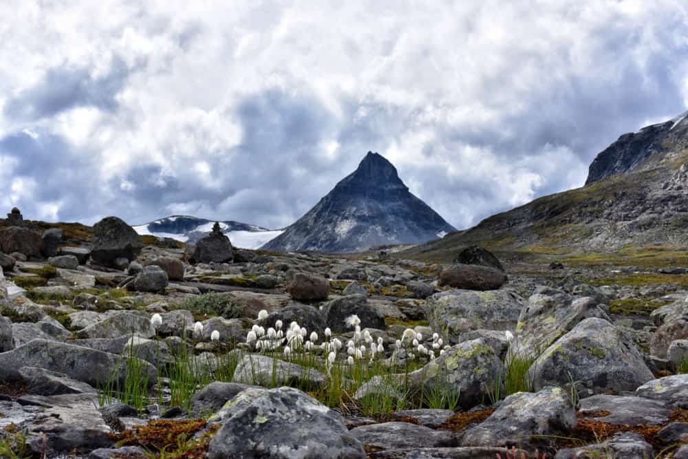 Photo of Mt Galdhøpiggen 