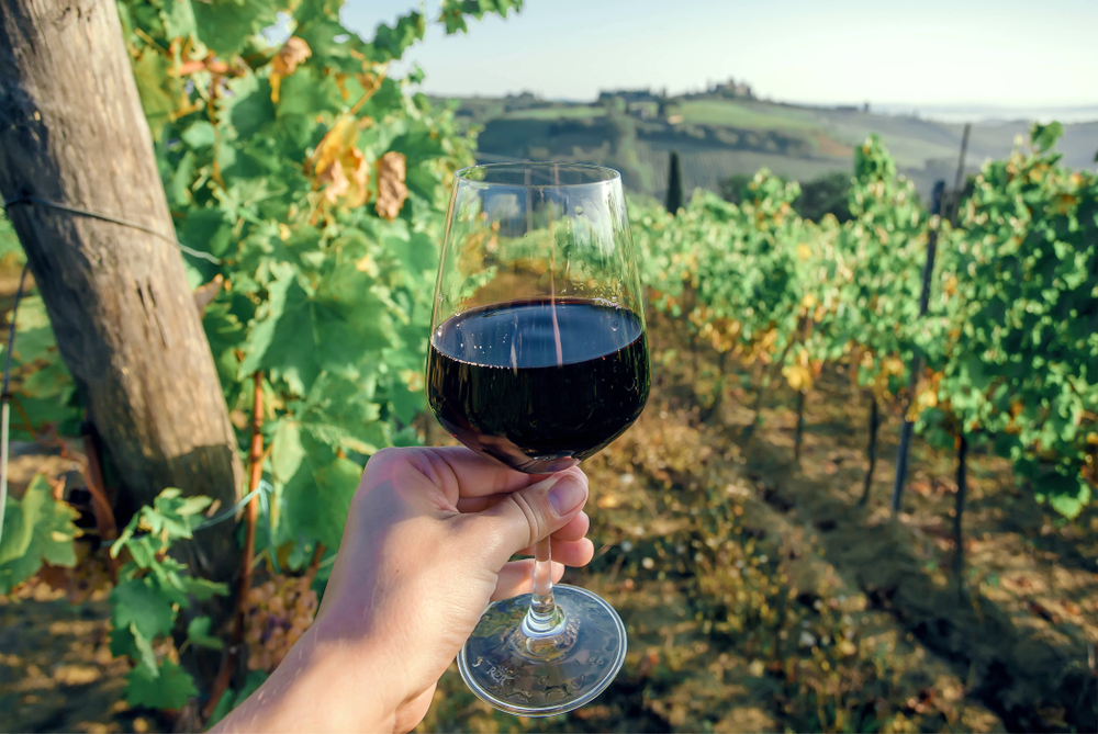 hand holding a glass of wine with vineyards in the background in poppi italy
