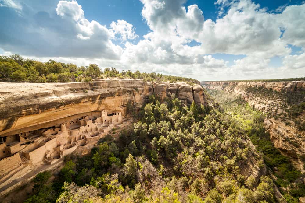 cliff dwellings at Mesa Verde National Park with green trees in foreground