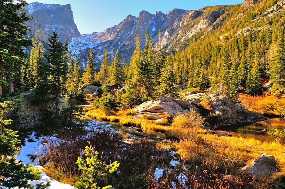 alpine setting with green trees and brown grass in Rocky Mountain national park in Colorado