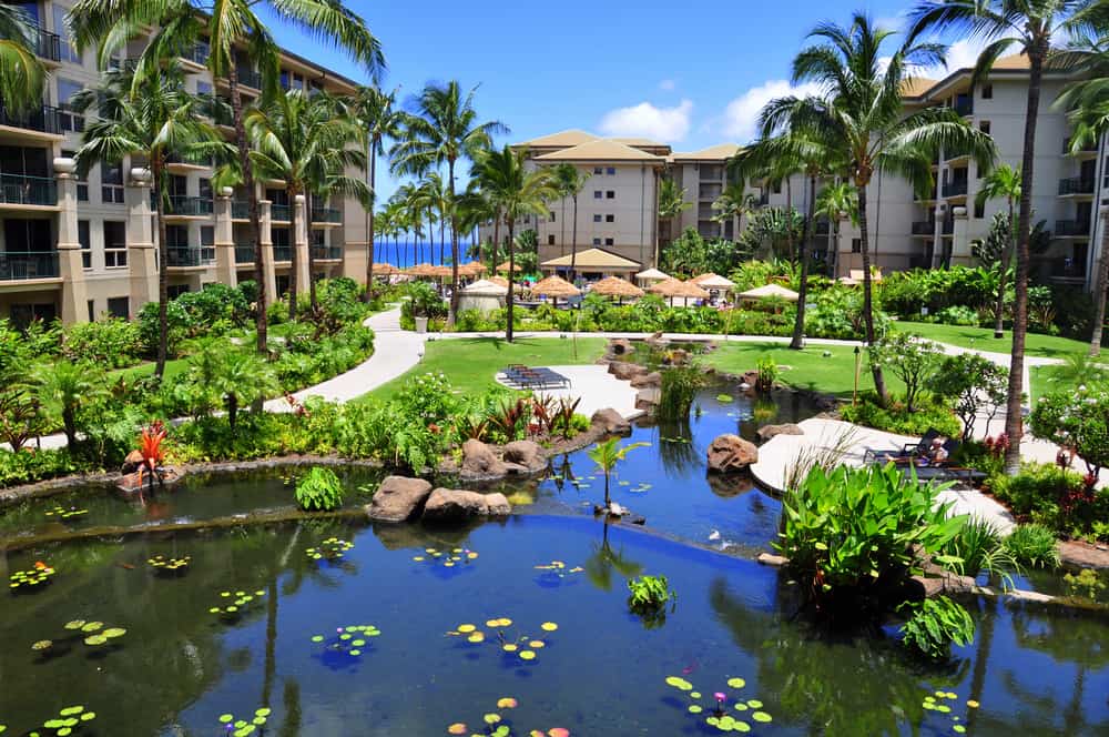 A pond in the foreground and resort in Maui in the background with green grass