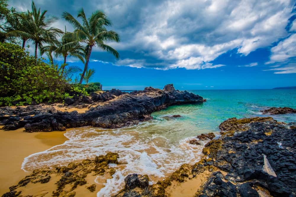 rocky coastline in Maui Hawaii with palm trees and blue sky with clouds