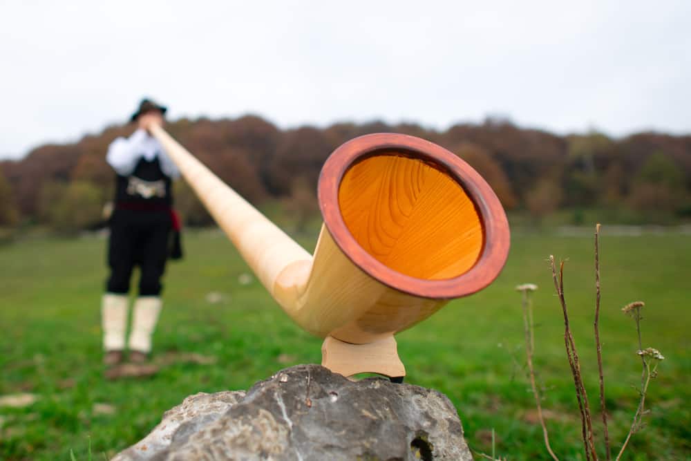 Photo of Alphorn