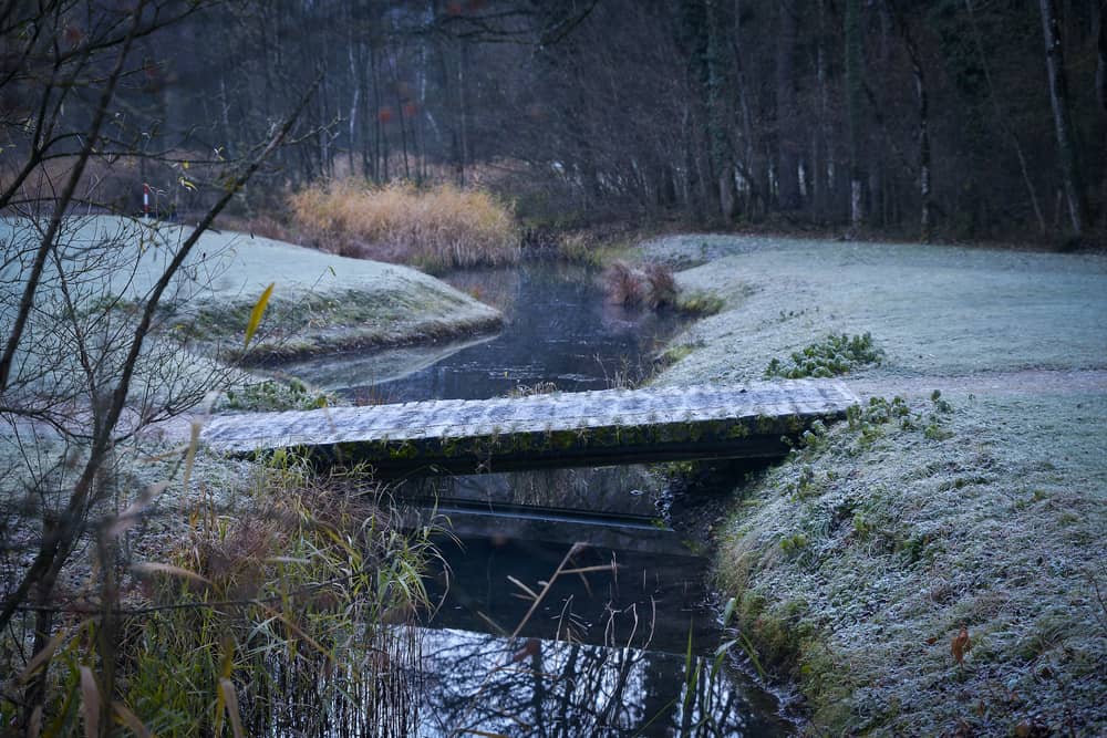 Photo of Weissenau Nature Reserve