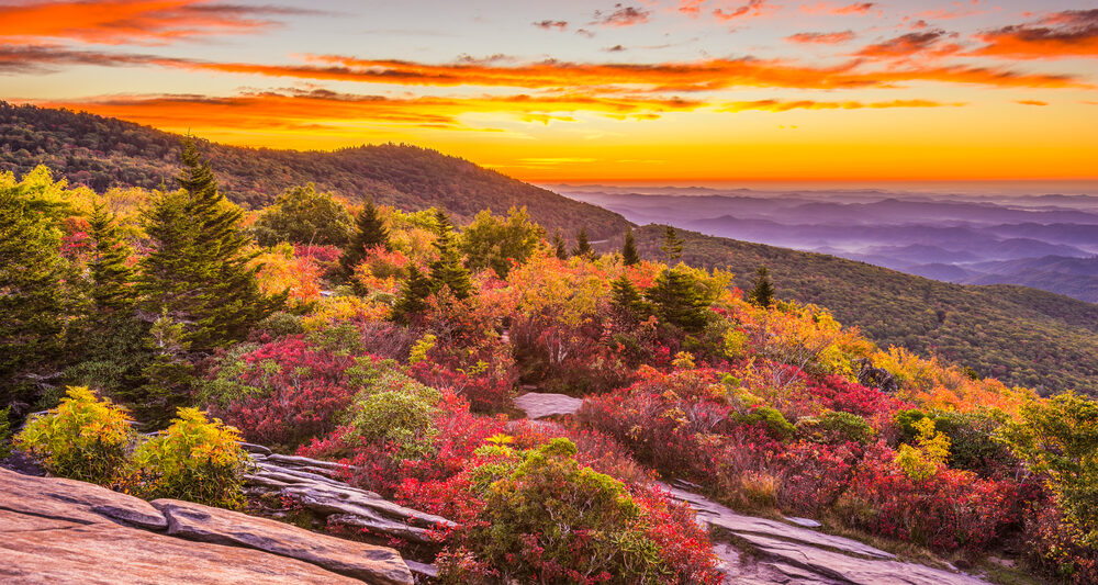 grandfather mountain is one of the best places for fall foliage in NC