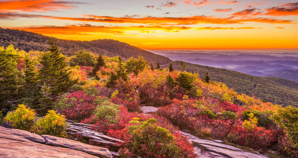 grandfather mountain is one of the best places for fall foliage in NC