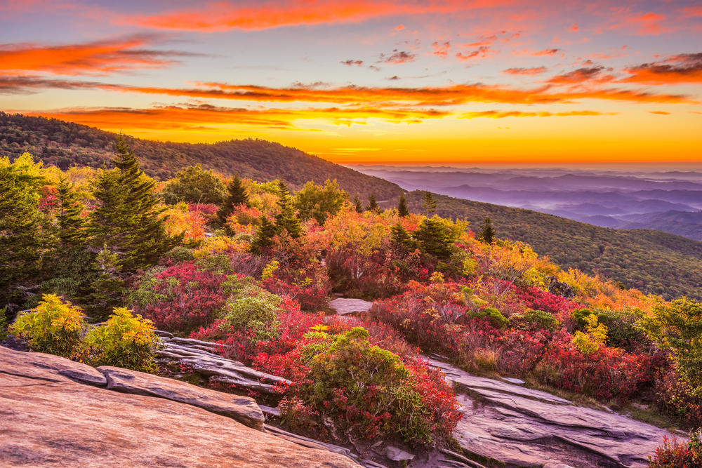 grandfather mountain is one of the best places for fall foliage in NC