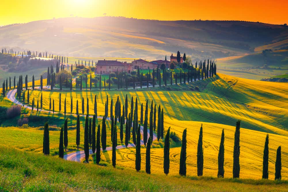 Photo of countryside near Asciano.