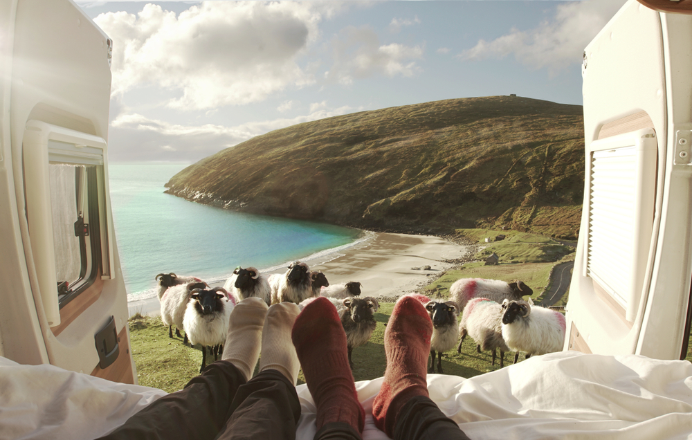 Photo of view of sheep and coastline out a window.