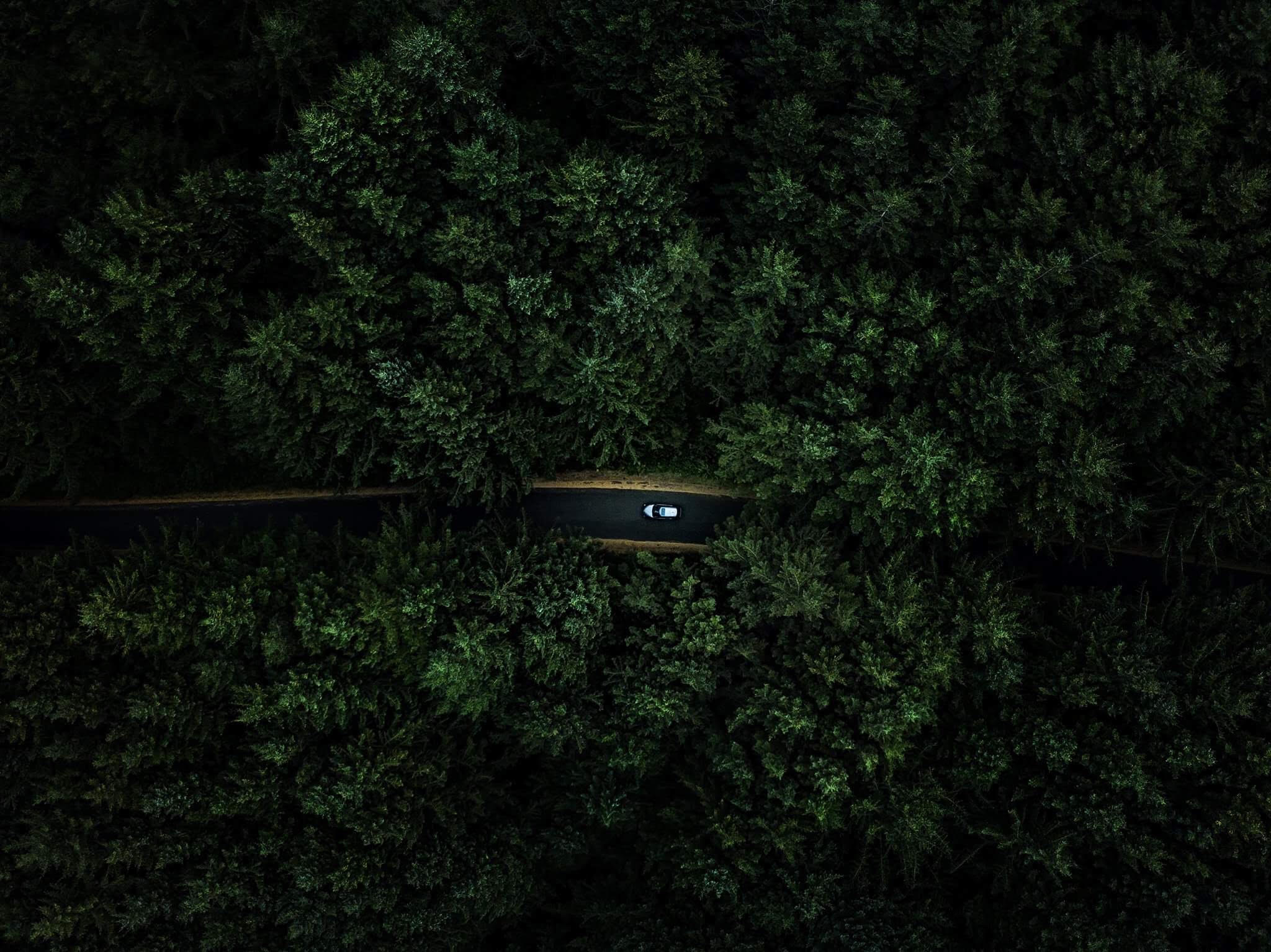 view from above of your Oregon coast road trip