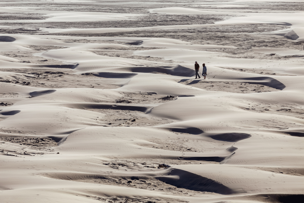 walking the dunes at the Oregon Dunes National Recreational Area on your Oregon coast road trip