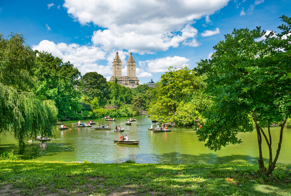 People row boating at Central Park on a beautiful day