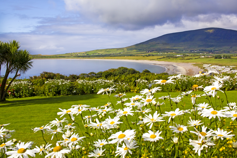 Photo of Ventry Beach